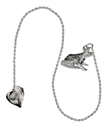 Серебряный ионизатор воды «Царевна-лягушка»